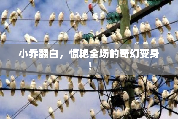 小乔翻白，惊艳全场的奇幻变身！