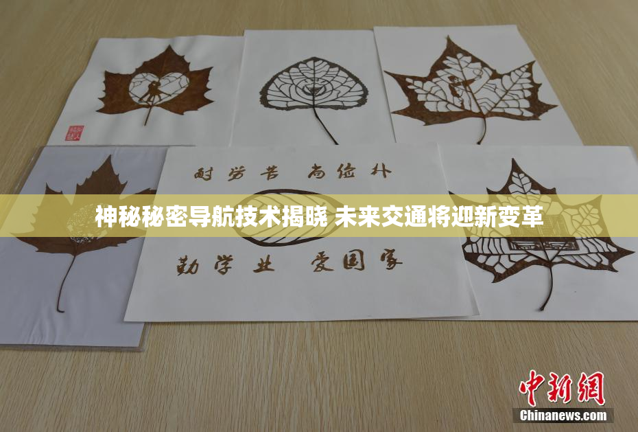 神秘秘密导航技术揭晓 未来交通将迎新变革
