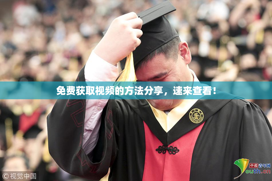 免费获取视频的方法分享，速来查看！