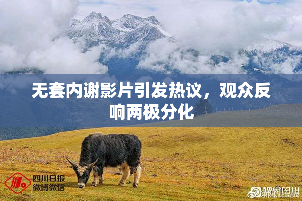 无套内谢影片引发热议，观众反响两极分化