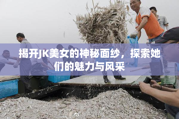 揭开JK美女的神秘面纱，探索她们的魅力与风采