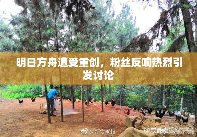 明日方舟遭受重创，粉丝反响热烈引发讨论