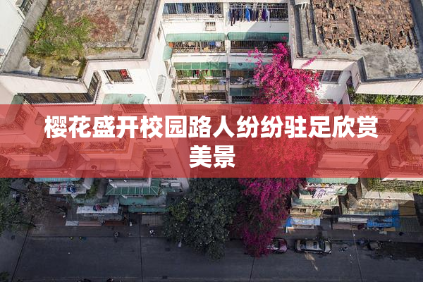 樱花盛开校园路人纷纷驻足欣赏美景