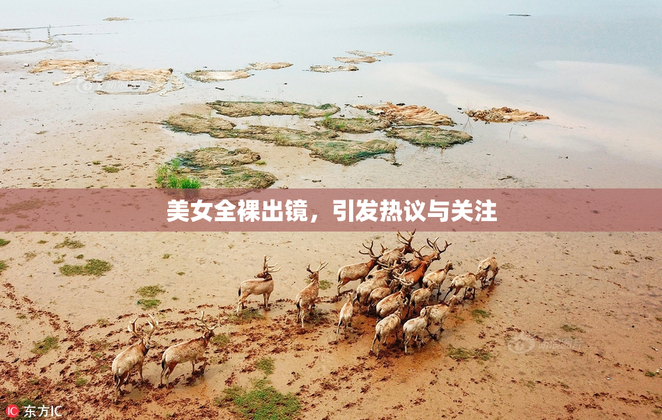 美女全裸出镜，引发热议与关注