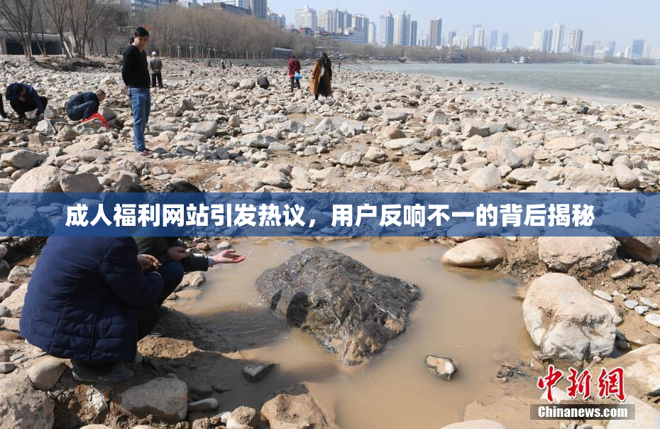 成人福利网站引发热议，用户反响不一的背后揭秘