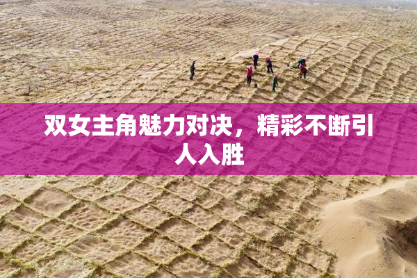 双女主角魅力对决，精彩不断引人入胜