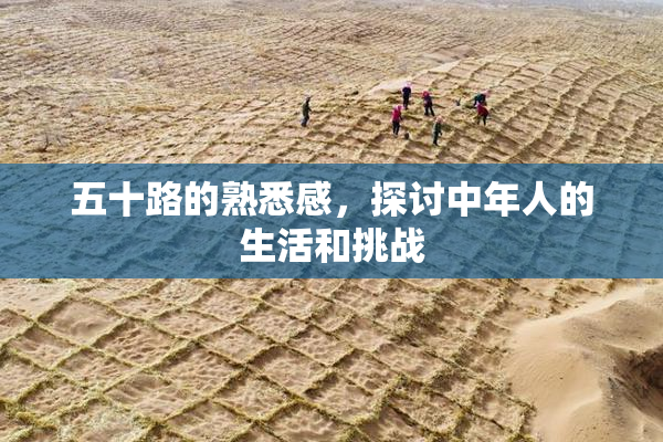 五十路的熟悉感，探讨中年人的生活和挑战