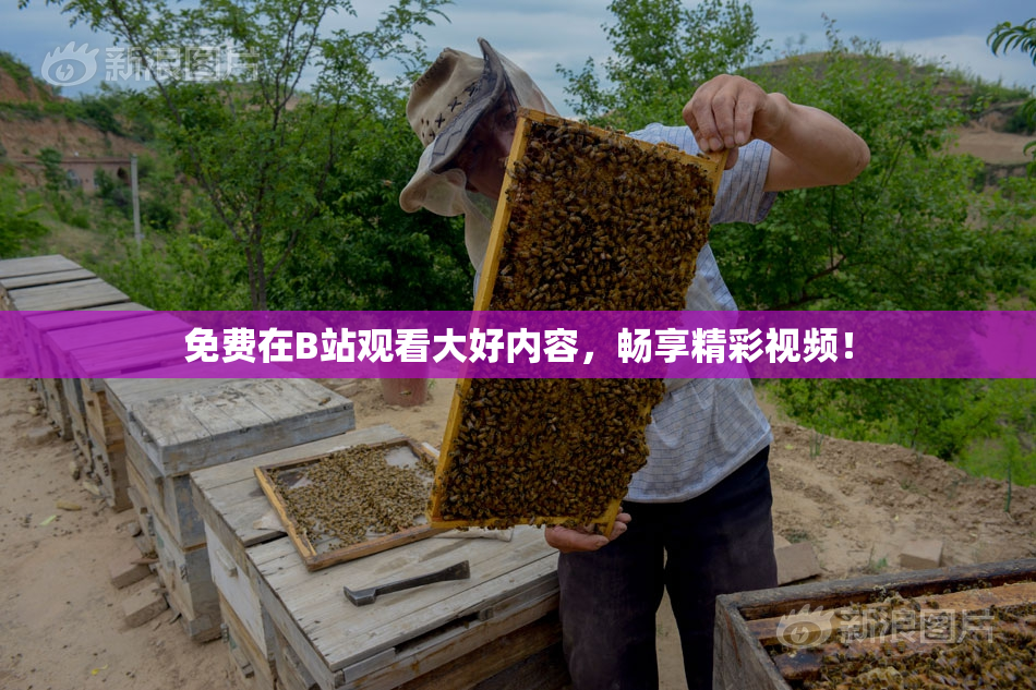 免费在B站观看大好内容，畅享精彩视频！