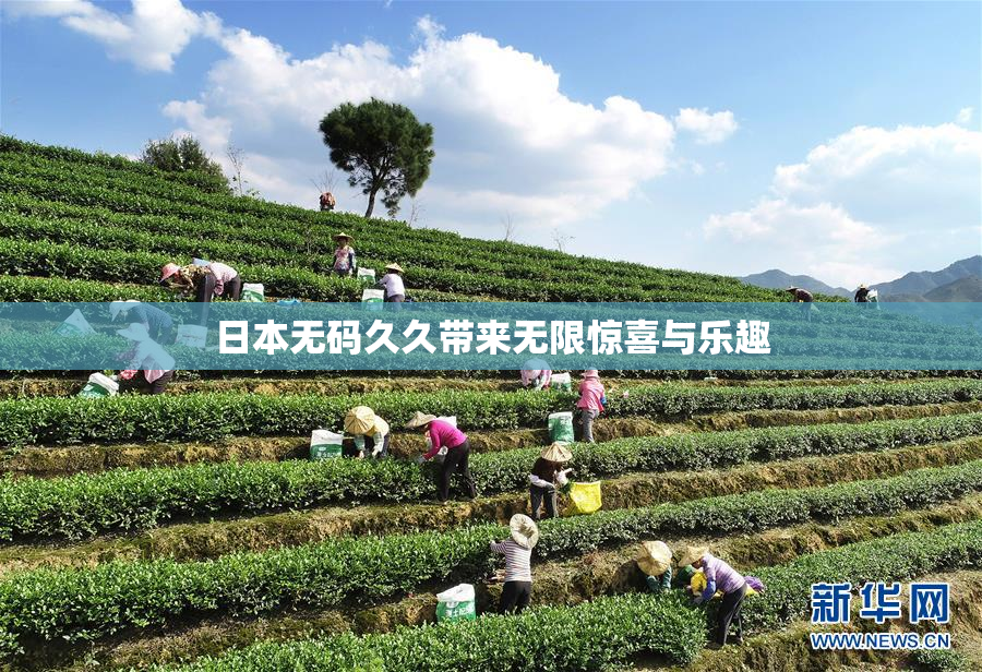 日本无码久久带来无限惊喜与乐趣