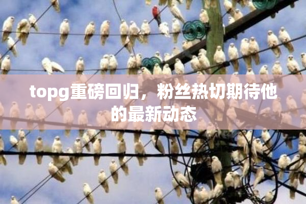 topg重磅回归，粉丝热切期待他的最新动态