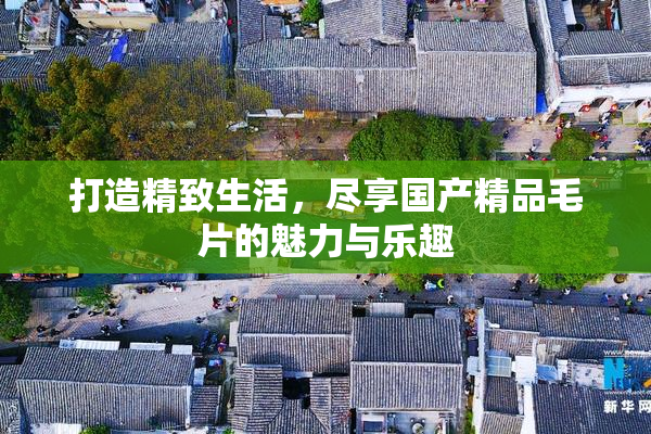 打造精致生活，尽享国产精品毛片的魅力与乐趣