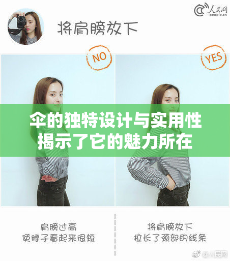 伞的独特设计与实用性揭示了它的魅力所在