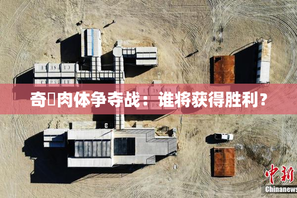 奇犽肉体争夺战：谁将获得胜利？