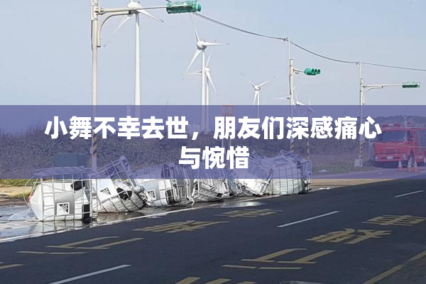 小舞不幸去世，朋友们深感痛心与惋惜