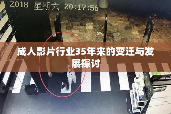 成人影片行业35年来的变迁与发展探讨