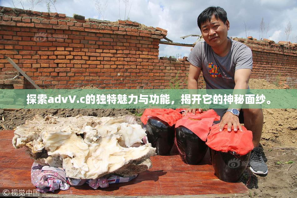 探索advV.c的独特魅力与功能，揭开它的神秘面纱。