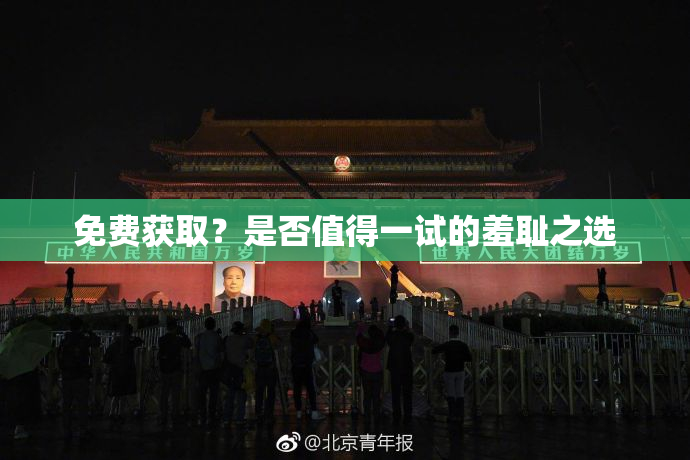 免费获取？是否值得一试的羞耻之选