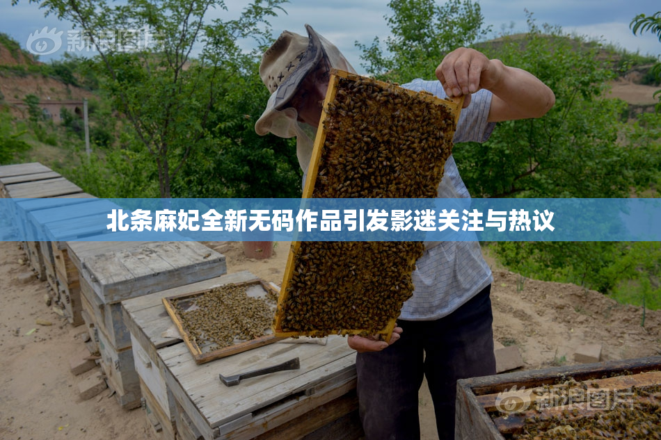 北条麻妃全新无码作品引发影迷关注与热议