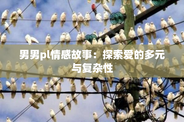 男男pl情感故事：探索爱的多元与复杂性