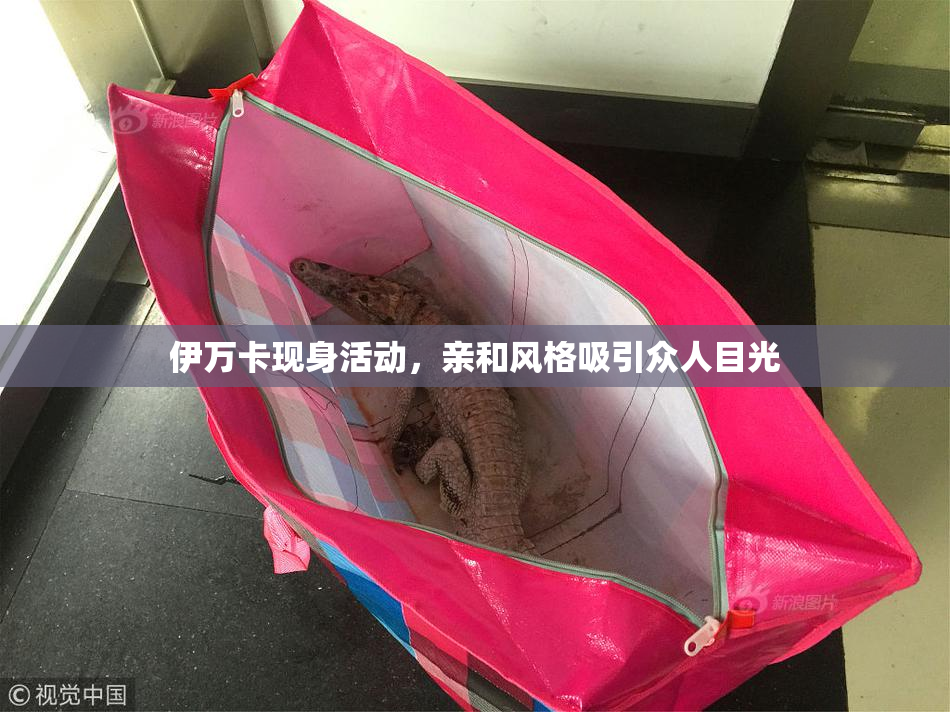伊万卡现身活动，亲和风格吸引众人目光