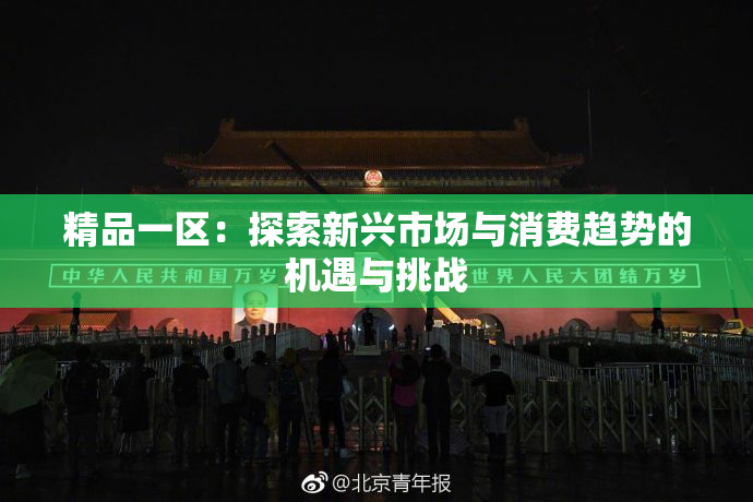 精品一区：探索新兴市场与消费趋势的机遇与挑战