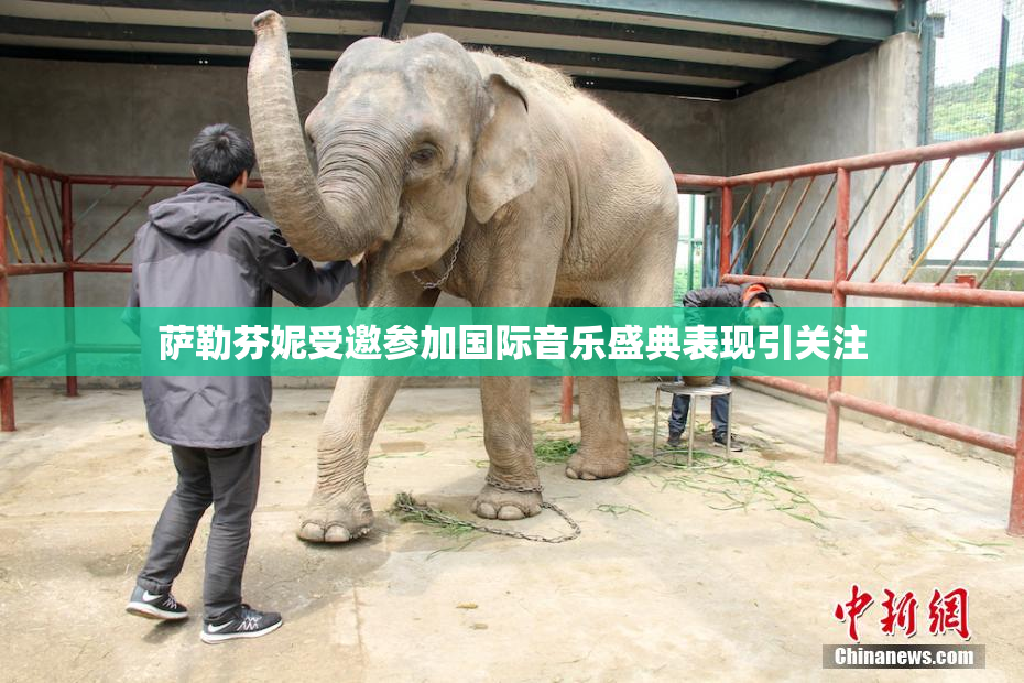 萨勒芬妮受邀参加国际音乐盛典表现引关注