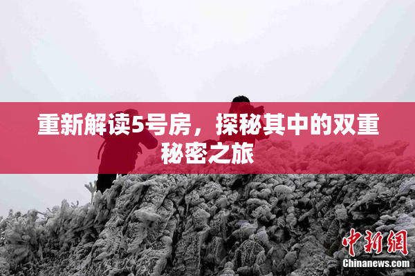 重新解读5号房，探秘其中的双重秘密之旅