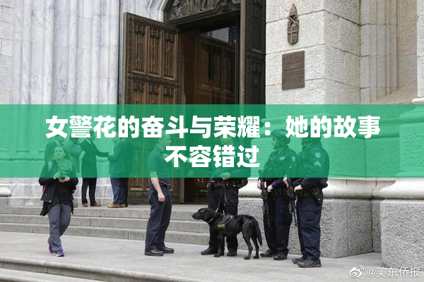 女警花的奋斗与荣耀：她的故事不容错过