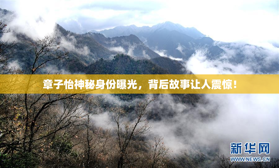 章子怡神秘身份曝光，背后故事让人震惊！