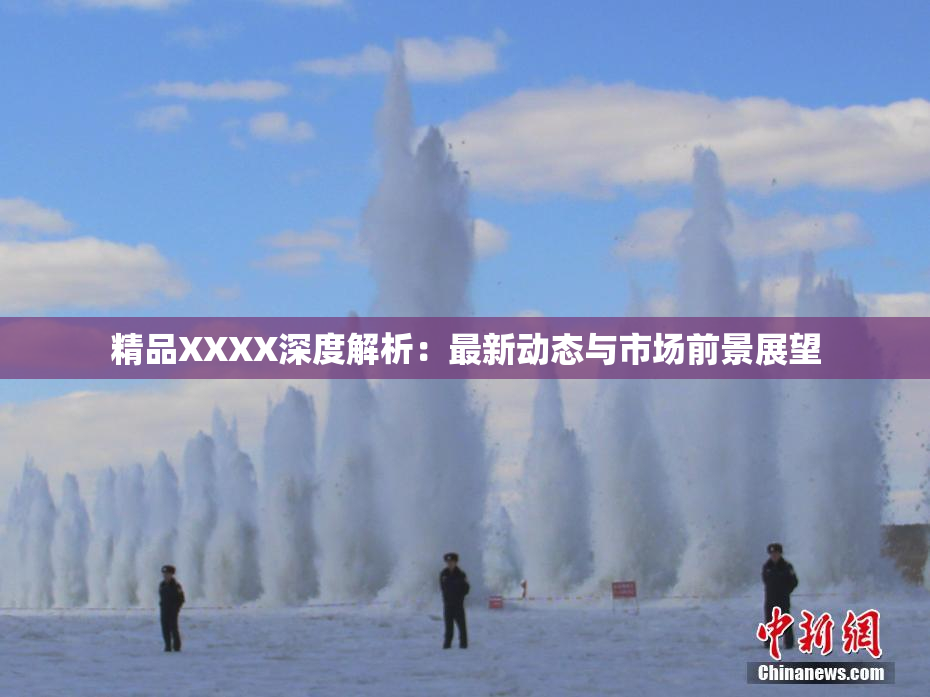 精品XXXX深度解析：最新动态与市场前景展望