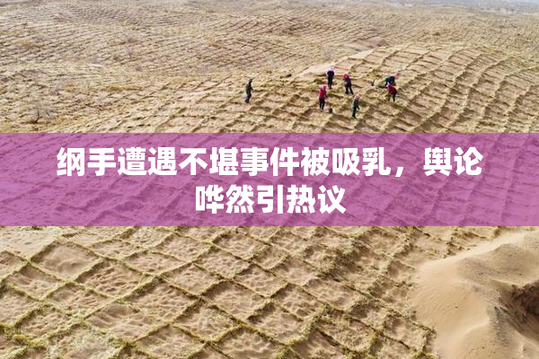 纲手遭遇不堪事件被吸乳，舆论哗然引热议