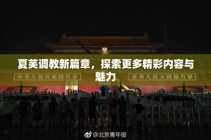 夏芙调教新篇章，探索更多精彩内容与魅力