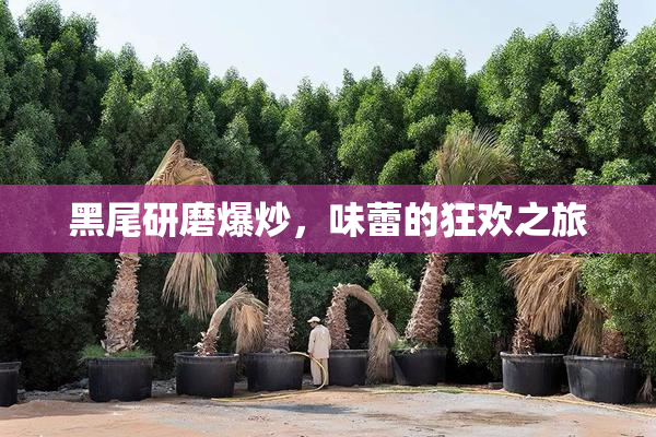 黑尾研磨爆炒，味蕾的狂欢之旅