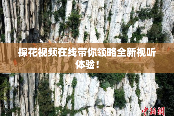 探花视频在线带你领略全新视听体验！