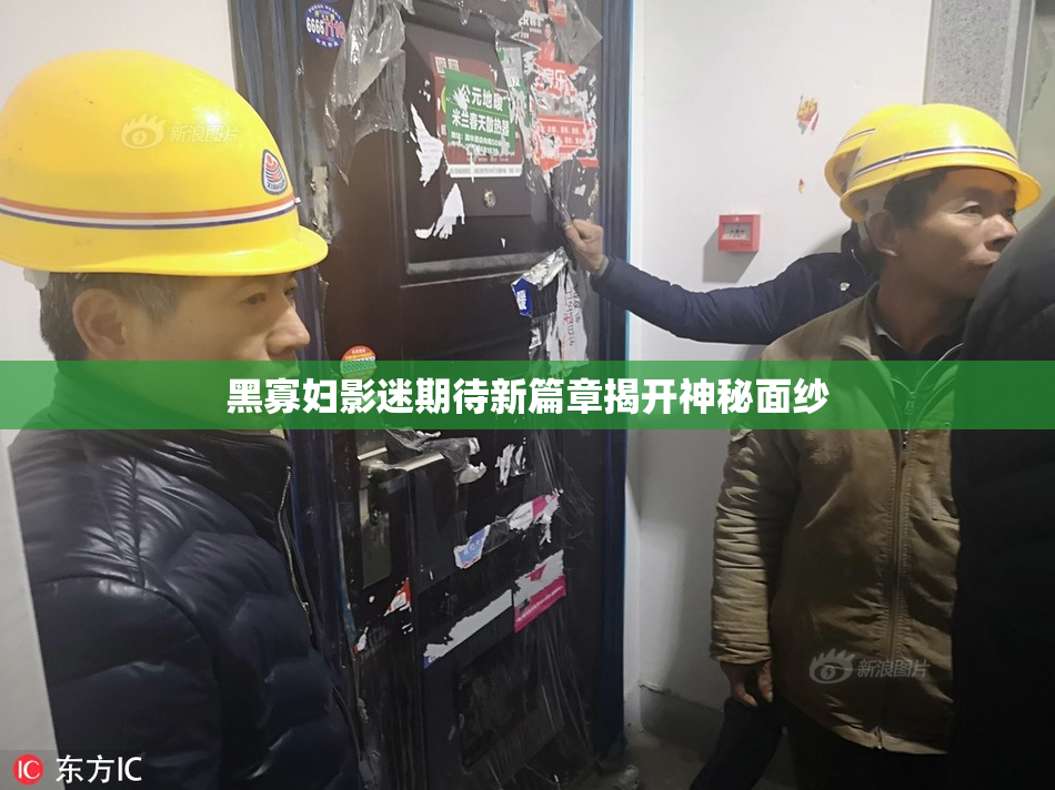 黑寡妇影迷期待新篇章揭开神秘面纱