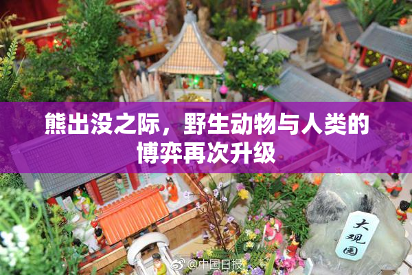 熊出没之际，野生动物与人类的博弈再次升级