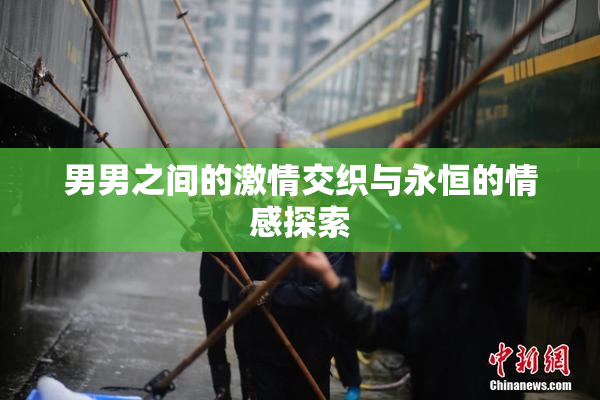 男男之间的激情交织与永恒的情感探索