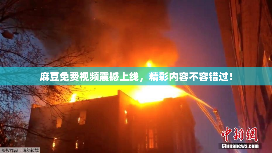 麻豆免费视频震撼上线，精彩内容不容错过！