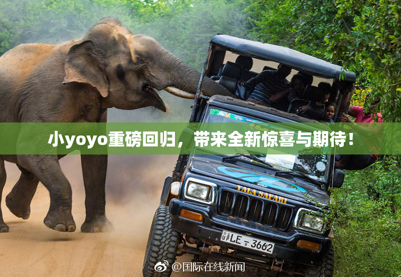 小yoyo重磅回归，带来全新惊喜与期待！