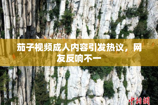 茄子视频成人内容引发热议，网友反响不一