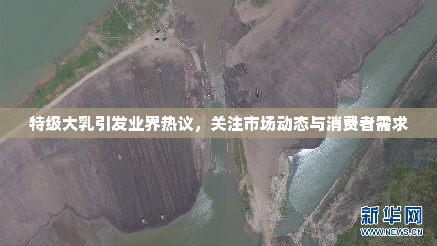 特级大乳引发业界热议，关注市场动态与消费者需求