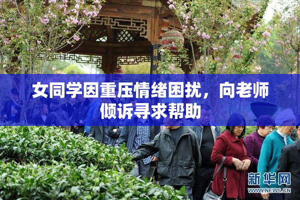 女同学因重压情绪困扰，向老师倾诉寻求帮助