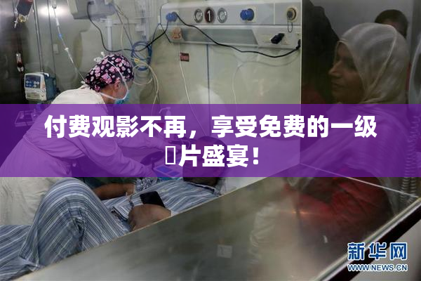 付费观影不再，享受免费的一级婬片盛宴！