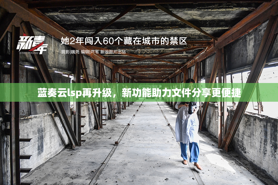 蓝奏云lsp再升级，新功能助力文件分享更便捷