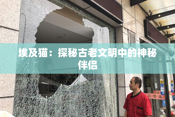 埃及猫：探秘古老文明中的神秘伴侣