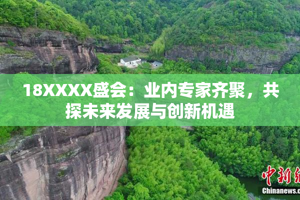 18XXXX盛会：业内专家齐聚，共探未来发展与创新机遇