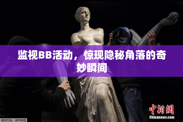 监视BB活动，惊现隐秘角落的奇妙瞬间