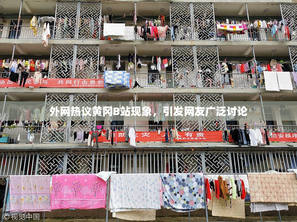 外网热议黄冈B站现象，引发网友广泛讨论