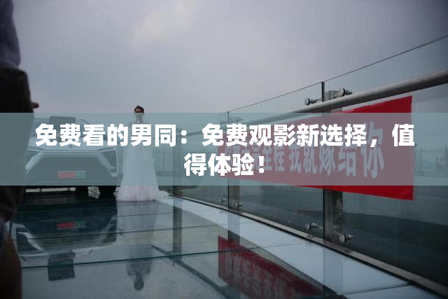 免费看的男同：免费观影新选择，值得体验！