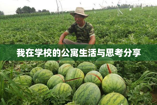 我在学校的公寓生活与思考分享